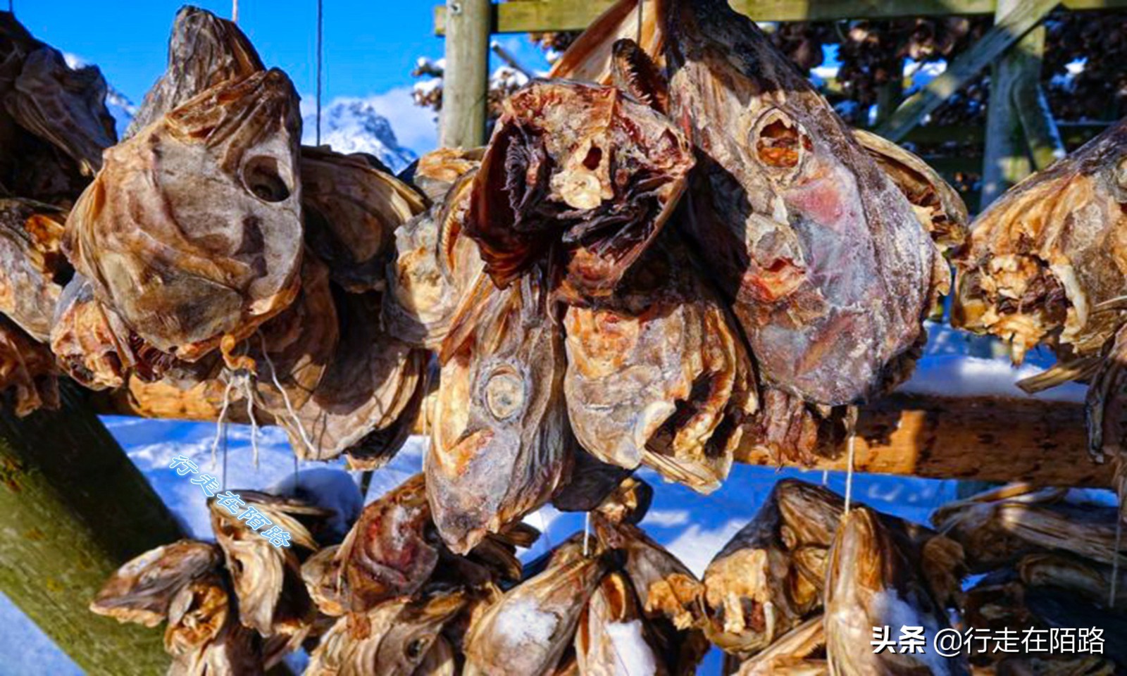 砸锅卖铁省吃俭用供你上大学,砸锅卖铁供你读书这句话对吗