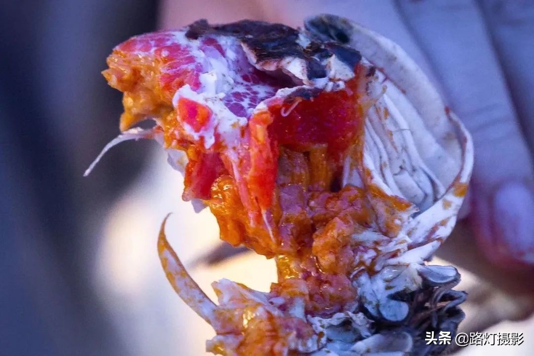 沙家浜江南美景,常熟芦苇荡螃蟹