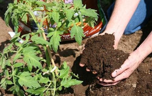 电商打击实体经济,电商代加工厂创业项目