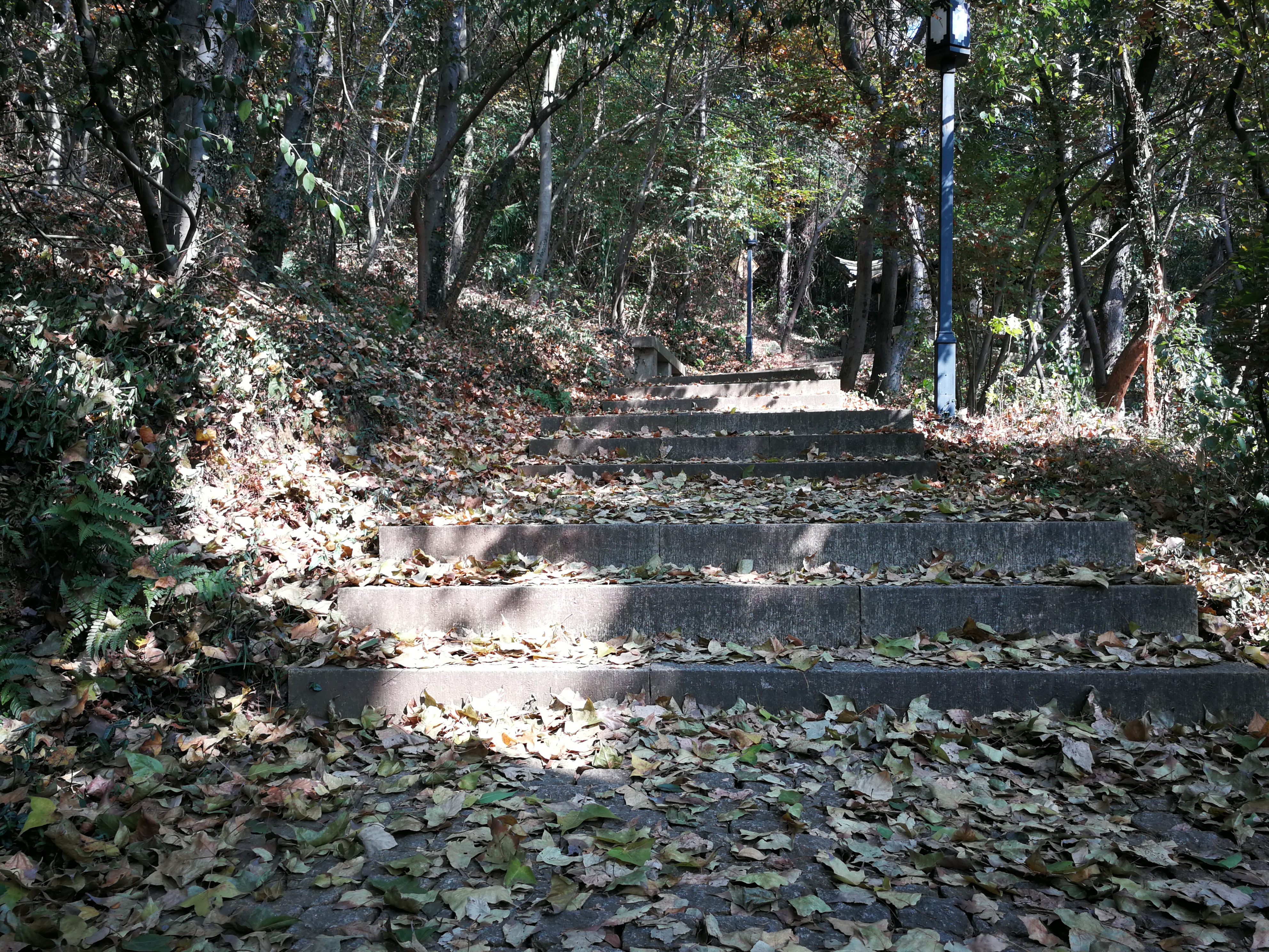 苏州上方山森林公园项目,苏州上方山森林公园好吗