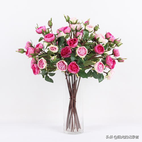 520简短浪漫花语是什么,520朵玫瑰的浪漫花语