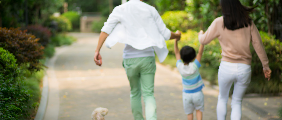 原生家庭心理学经典,心理伤痛的原生家庭