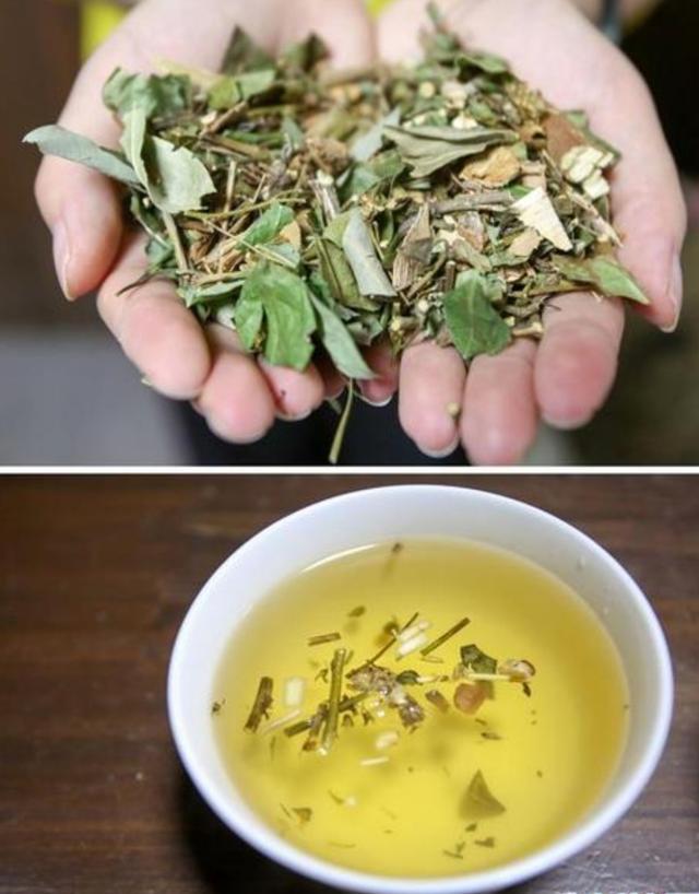 对人无毒的壁虎为何是五毒之一,人畜无害的壁虎为什么无毒