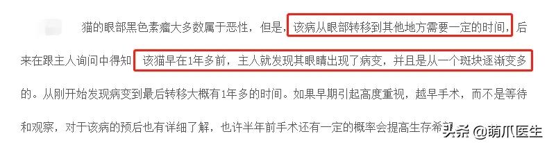 猫咪皮肤有黑斑点还很容易掉毛,猫咪身上有黑色斑点是怎么回事