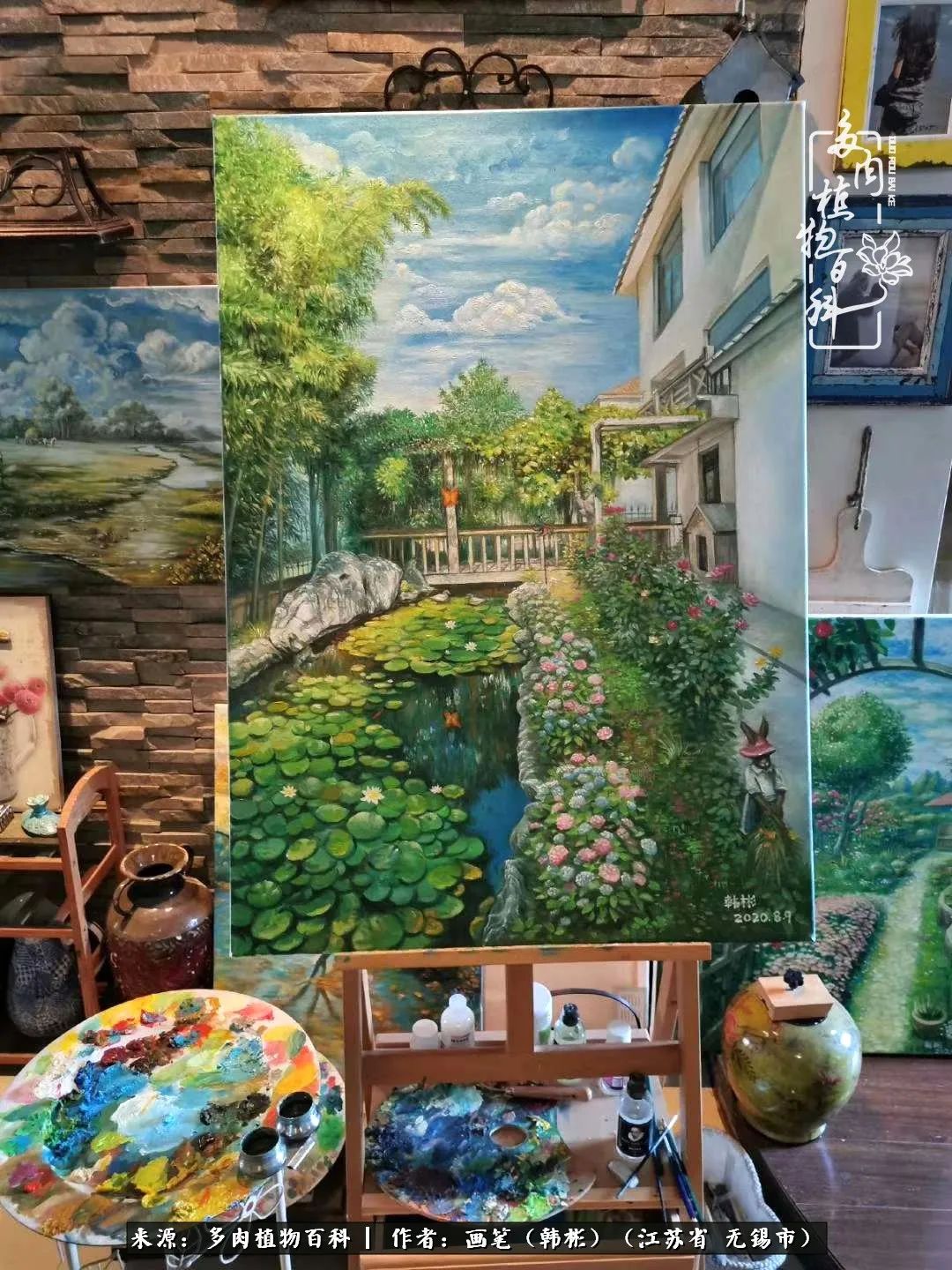 阳台多肉花园简直美翻了,适合男生养的多肉