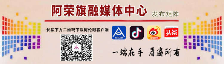 蜜蜂蜇伤最佳急救方法,宝宝被蜜蜂蜇伤怎么办
