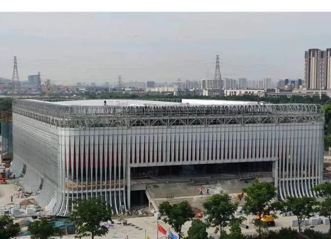 1所高校3个项目，厉害了，亚运“大户”浙师大