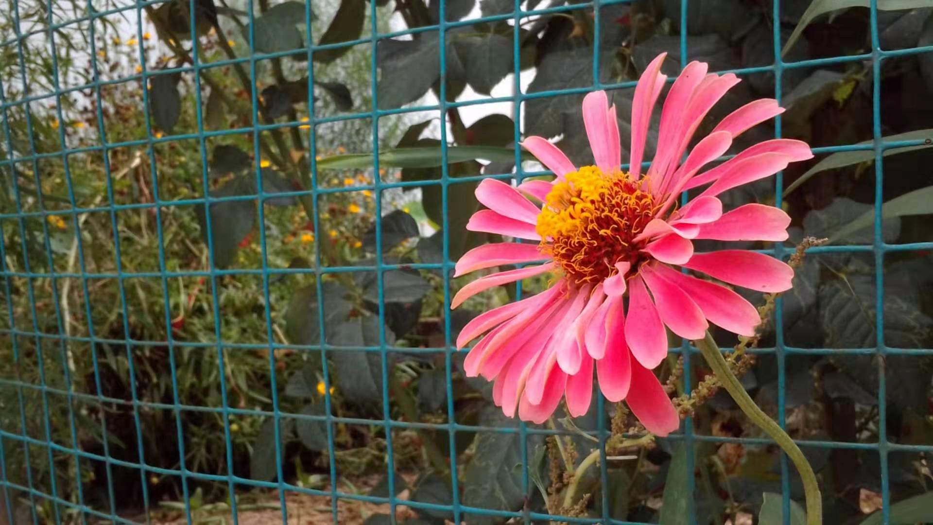 多亲ai助手手机耐用,多亲ai助手的区别