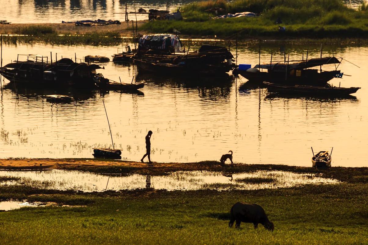 三水北江大堤风景区,北江大堤哪里风景最好