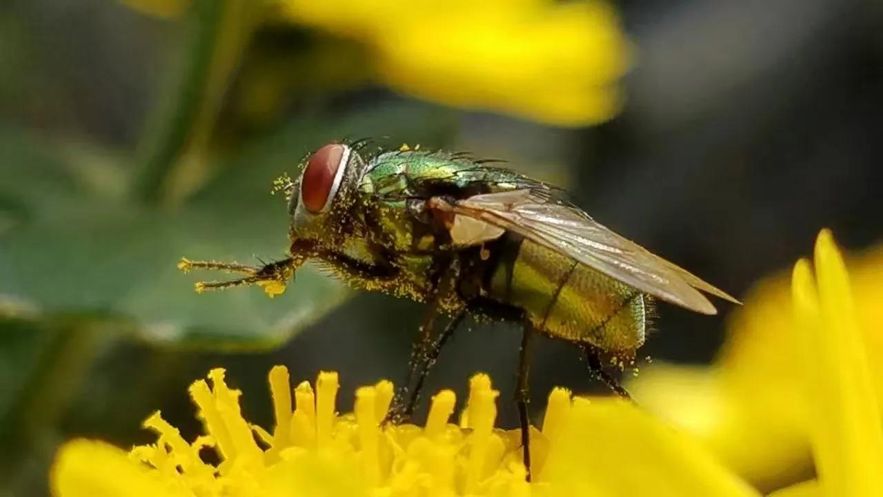 我爱摄影随笔,我爱摄影第四期