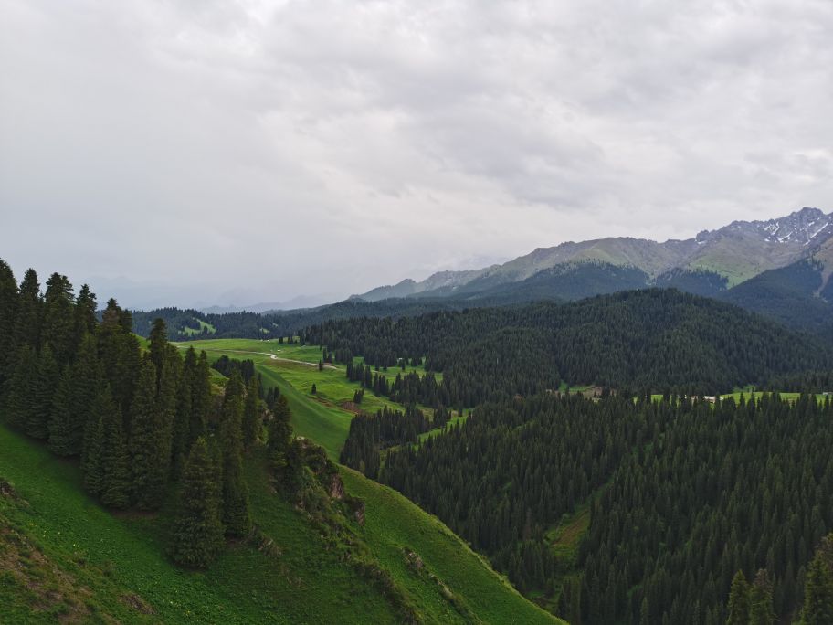 坐公共交通工具游新疆北疆攻略,从新疆坐大巴去俄罗斯