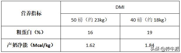 奶牛热应激一般几月份,新疆奶牛热应激的特征