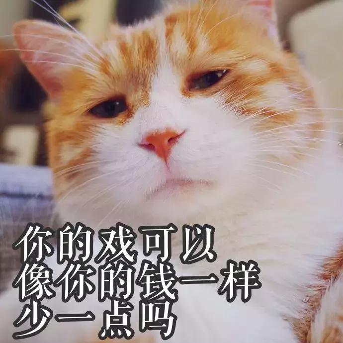 本国的猫可以听懂外国的猫叫吗 (中国的猫听得懂外国猫的叫声吗)