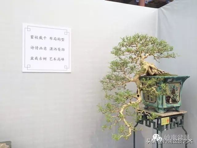 骞哥涔呬箙鐢滅敎铚滆湝,骞哥涔呬箙