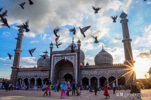 你不知道的国家冷知识日本篇,你不知道的国家冷知识尼泊尔