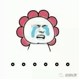 原来偷菜游戏叫啥,80后爱玩的偷菜游戏