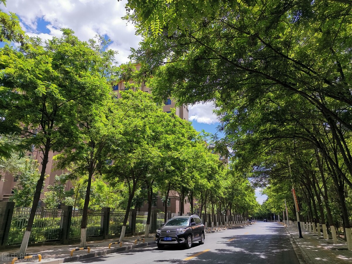 中国四大园林城市，绿化率最低40%，杭州排第三，苏州未入围