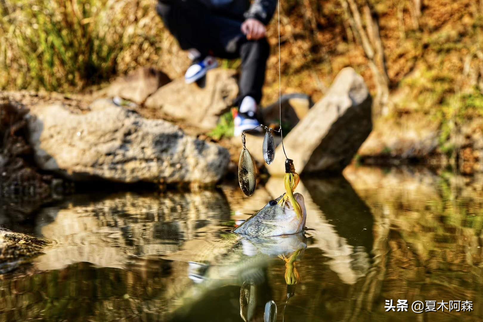 路亚新手不知道怎么玩,路亚你不知道的钓法