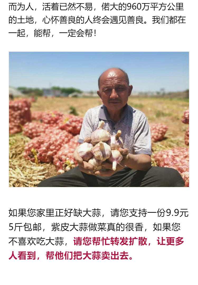 鍔╁啘鐧惧崄涓囦憨婊為攢澶ц挏,绱毊澶ц挏椴滆挏鍔╁啘5鏂よ