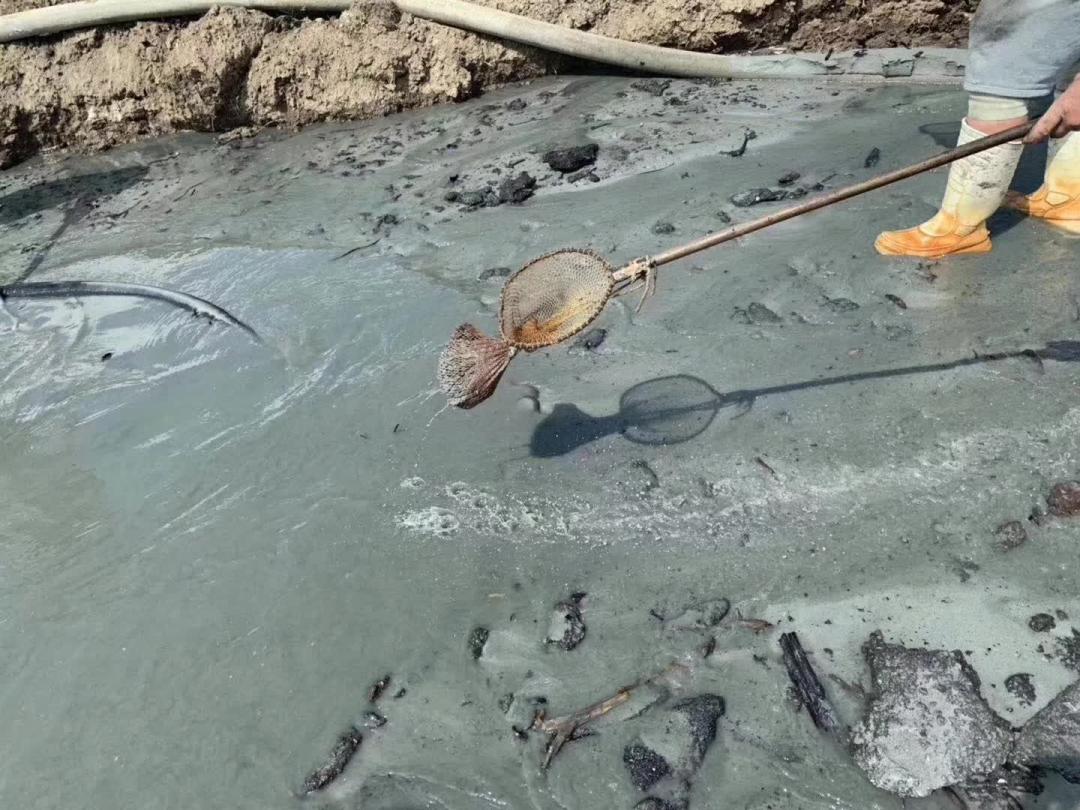 海边捡瓶子赚钱,国外捡蜜蜡