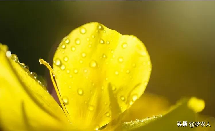 以清净心看世间以欢喜心度生活,以清净心看世界用欢喜心过生活
