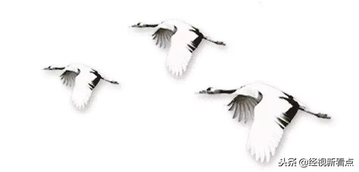 问问你的父母，这样的银龄生活喜欢吗？