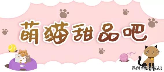 萌化了！十堰茅箭区首届撸猫节，周末约起