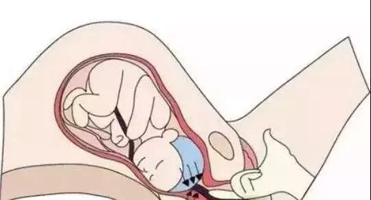 这位丽水女医生,你跪着的样子,真美!