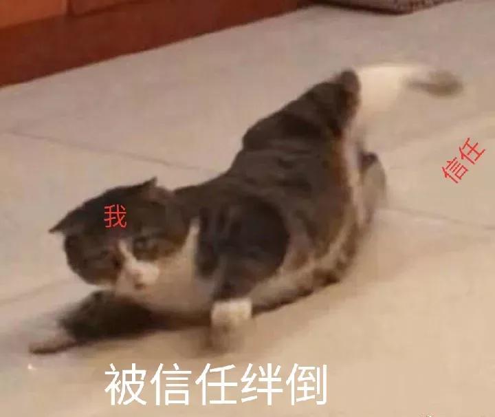 14岁女孩网上被骗,9岁女孩网上聊天被人骗