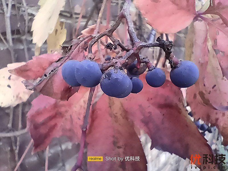 爆款力作，性能更出色realme真我Q3s优科技全面评测