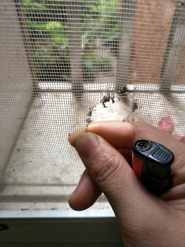 纱窗破了的小洞怎么样补比较美观,纱窗破了修补的妙招