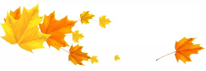 秋分的优美诗词发朋友圈,秋分优美诗词秋分祝福语