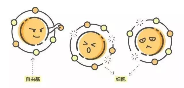 灞辨按缁翠慨淇濆吇姹借溅,灞辨按闃叉按琛ユ紡