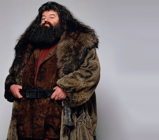 哈利波特十大最受喜爱人物,哈利波特中最受欢迎的10个人物