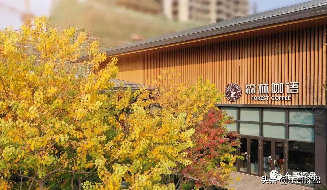 被限价压制的郑东白沙，竟有如此的爆款改善产品？