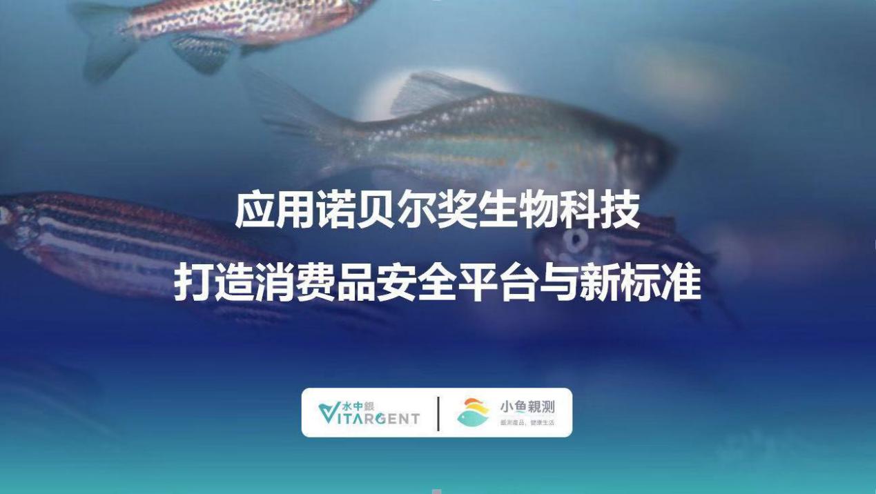 水中银小鱼,水中银小鱼亲测在国际上的地位