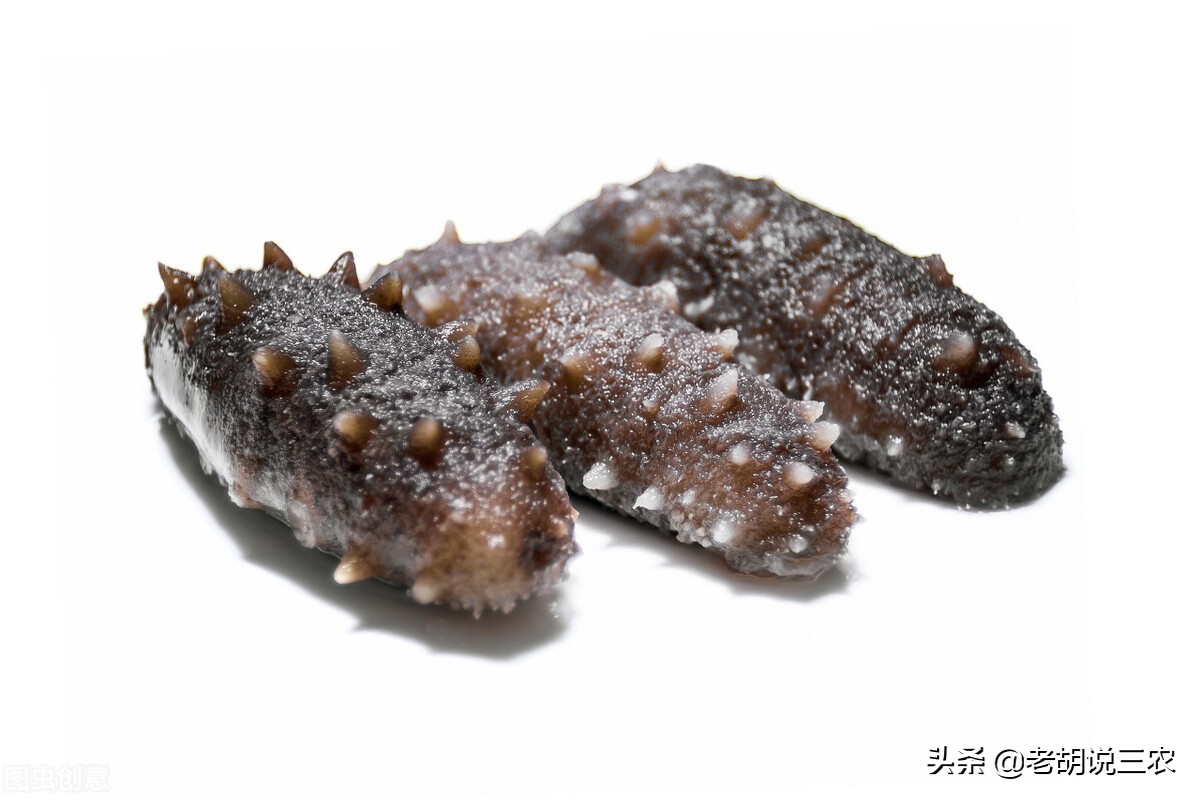 海参淡干海参一斤价格在600-700元,干海参与即食海参价格差别很大