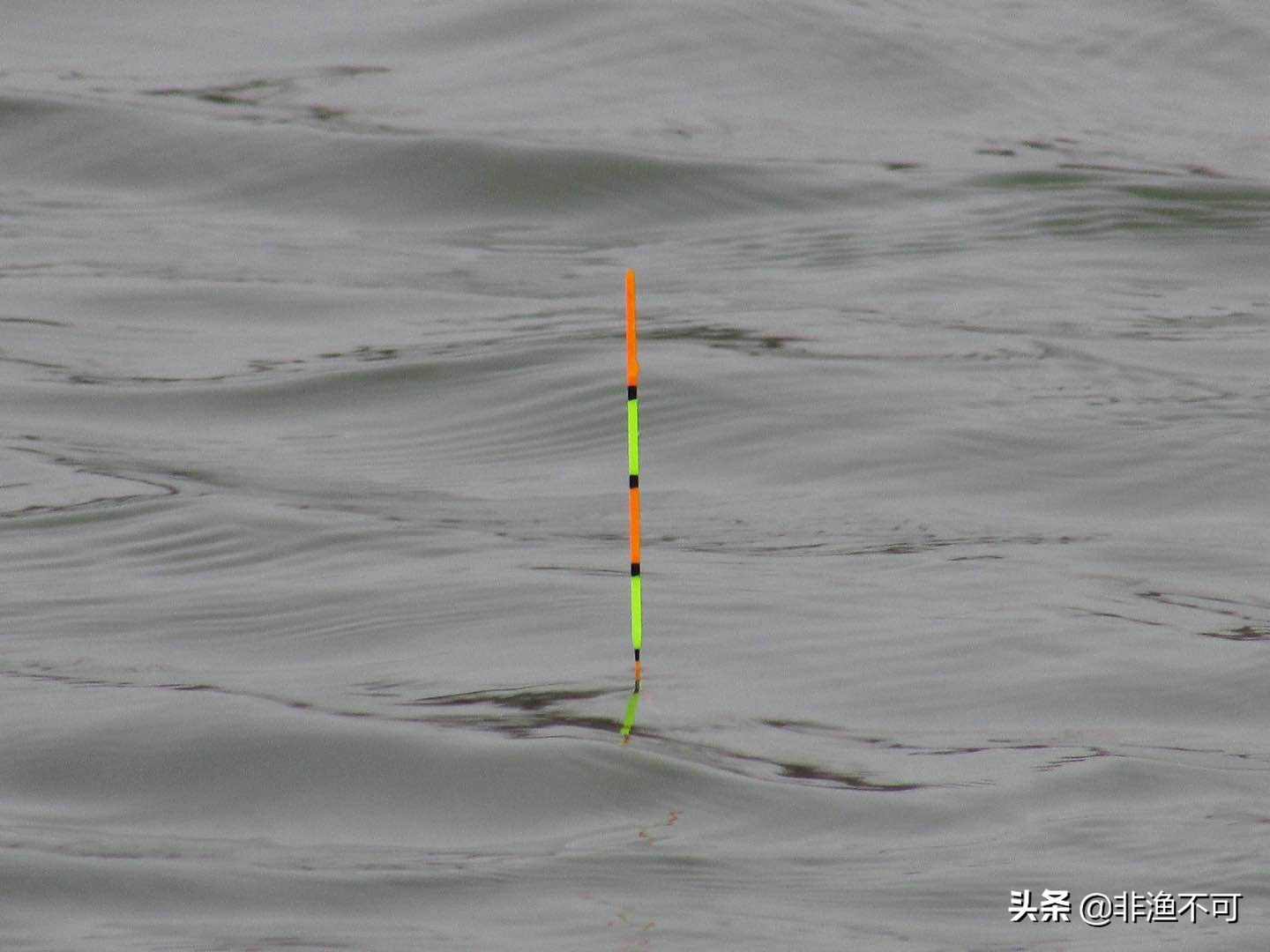 抛竿技巧新手入门注意哪些细节,手竿钓鱼正确的抛竿怎么抛