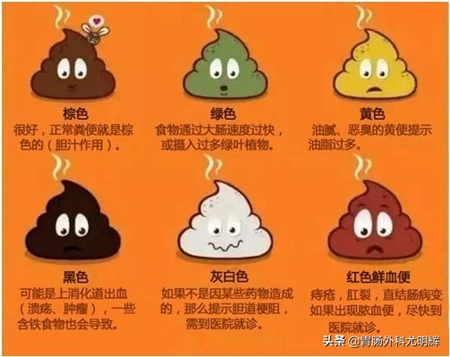 肛肠专科换药的注意点,肛肠换药能不能自己换