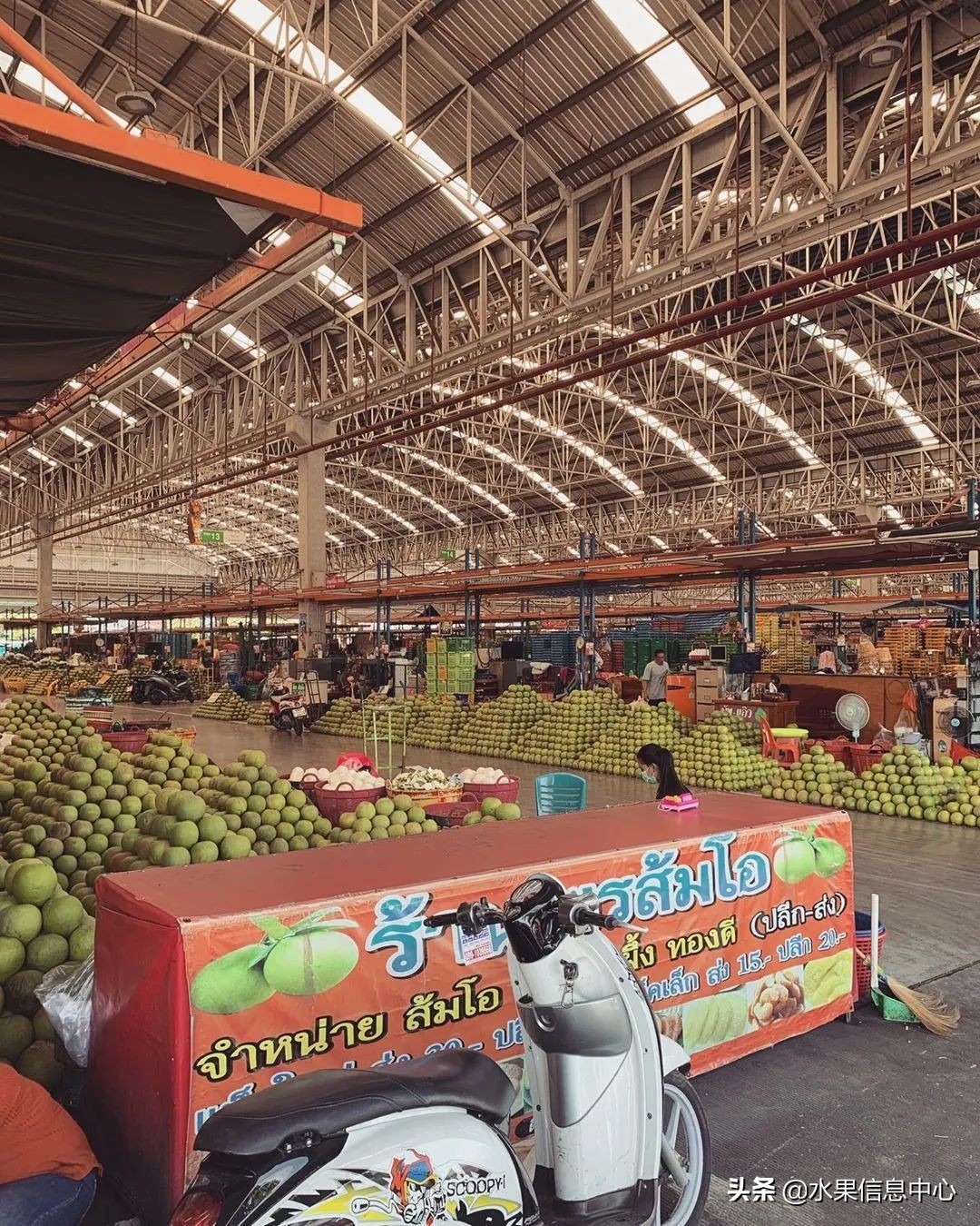 西双版纳水果市场榴莲 (上海亚洲最大的水果批发市场榴莲)