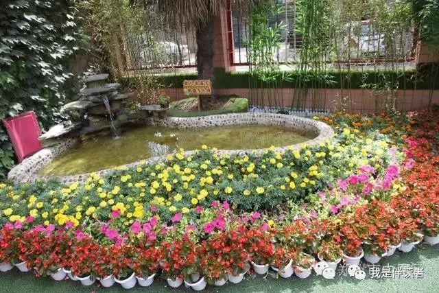 中原区公立幼儿园,郑州市中原区私立幼儿园怎么报名