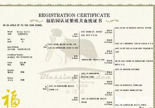 什么样才算纯种狗？纯种狗是怎么培育出来的？