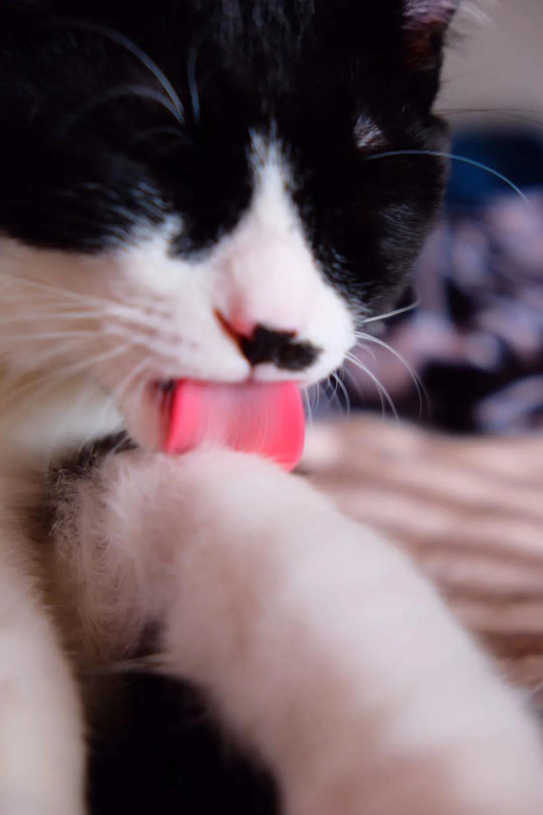 和卡卡的第一次合作,和卡卡相遇