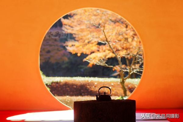 700年历史的日本小寺,为了看秋叶要买两次票,一次比一次贵