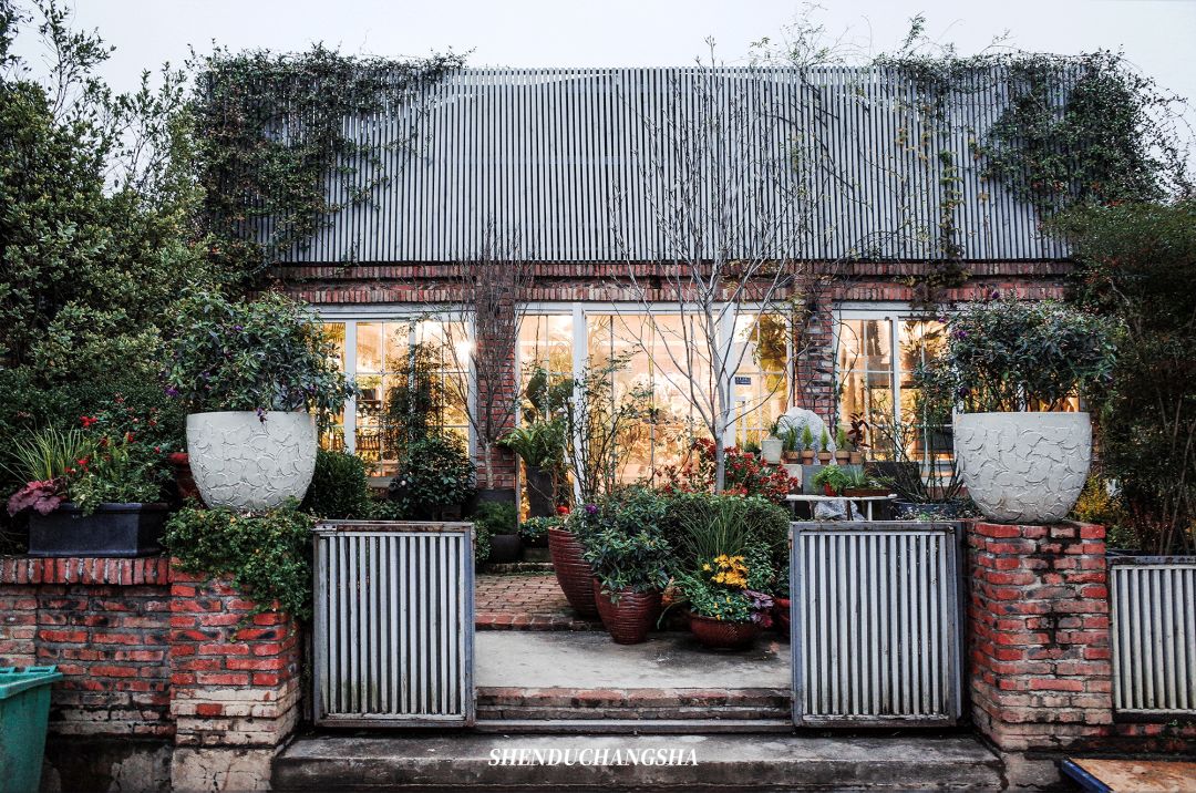 长沙旅游攻略必玩的十大景点介绍,长沙适合秋季打卡的景点