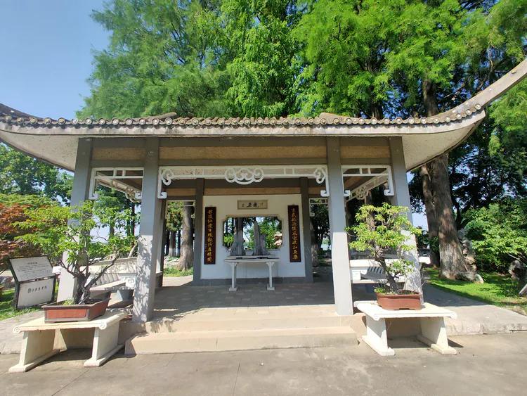 曾作为禁地，与外界隔绝二百六十多年的“玄武湖”，今日锣鼓喧天