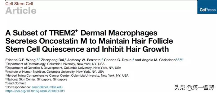3d打印毛囊成功视频,3d打印治疗脱发