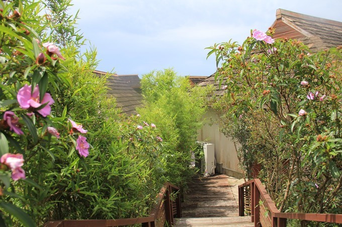 海边美食推荐旅游攻略,海边旅游美食风景攻略