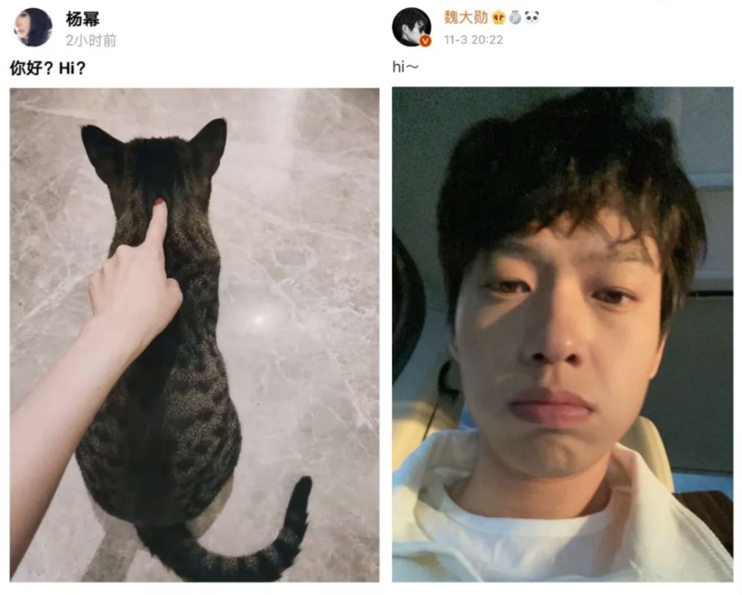 杨幂魏大勋真的是情侣吗,杨幂魏大勋情侣装现身同一小区