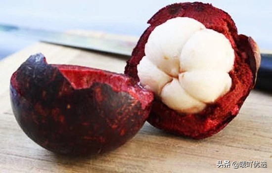 山竹油竹麻竹红叶怎么区分,山竹麻竹油竹瓜竹都是怎么区分的